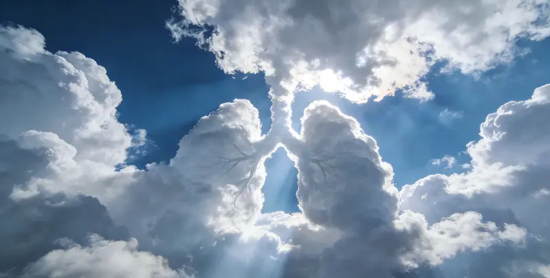 石家庄肺癌12基因ctDNA突变检测(血液）图片1