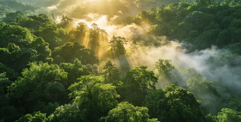 石家庄肺癌靶向39基因检测（组织）图片1