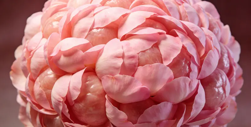 石家庄BRCA1/2乳腺癌卵巢癌基因检测图片1