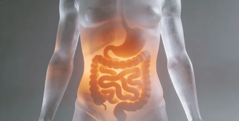 石家庄胃癌分子分型基因检测项目（组织）图片1